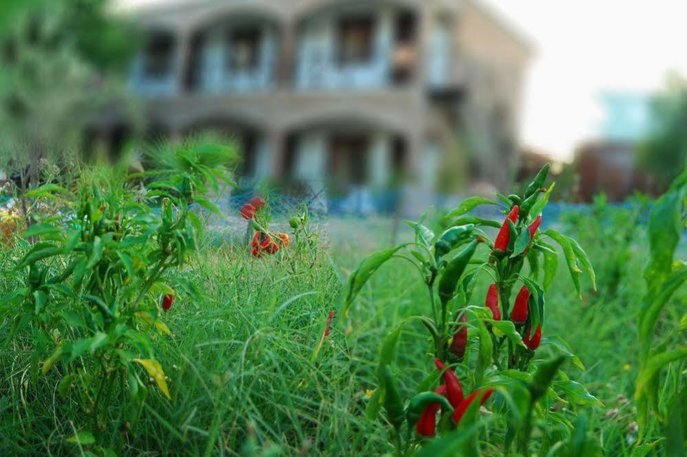 Cunda Deniz Hotel Ayvalı Extérieur photo